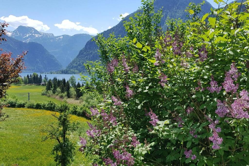 Ferienhaus Kopriwa Bad Goisern am Hallstättersee Exterior foto